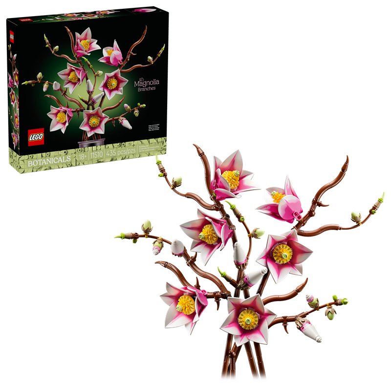 BONTANICALS: MAGNOLIA BRANCHES