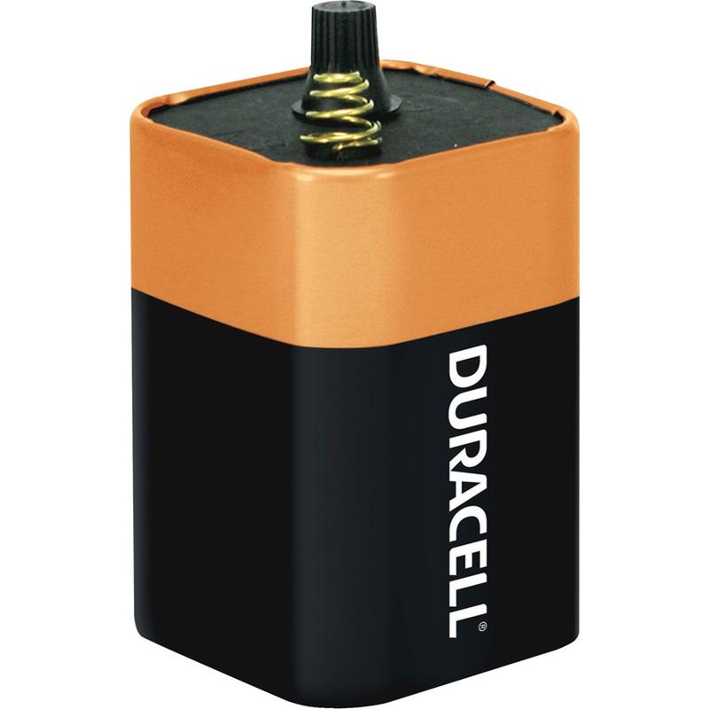 Image Coppertop Alkaline Batteries